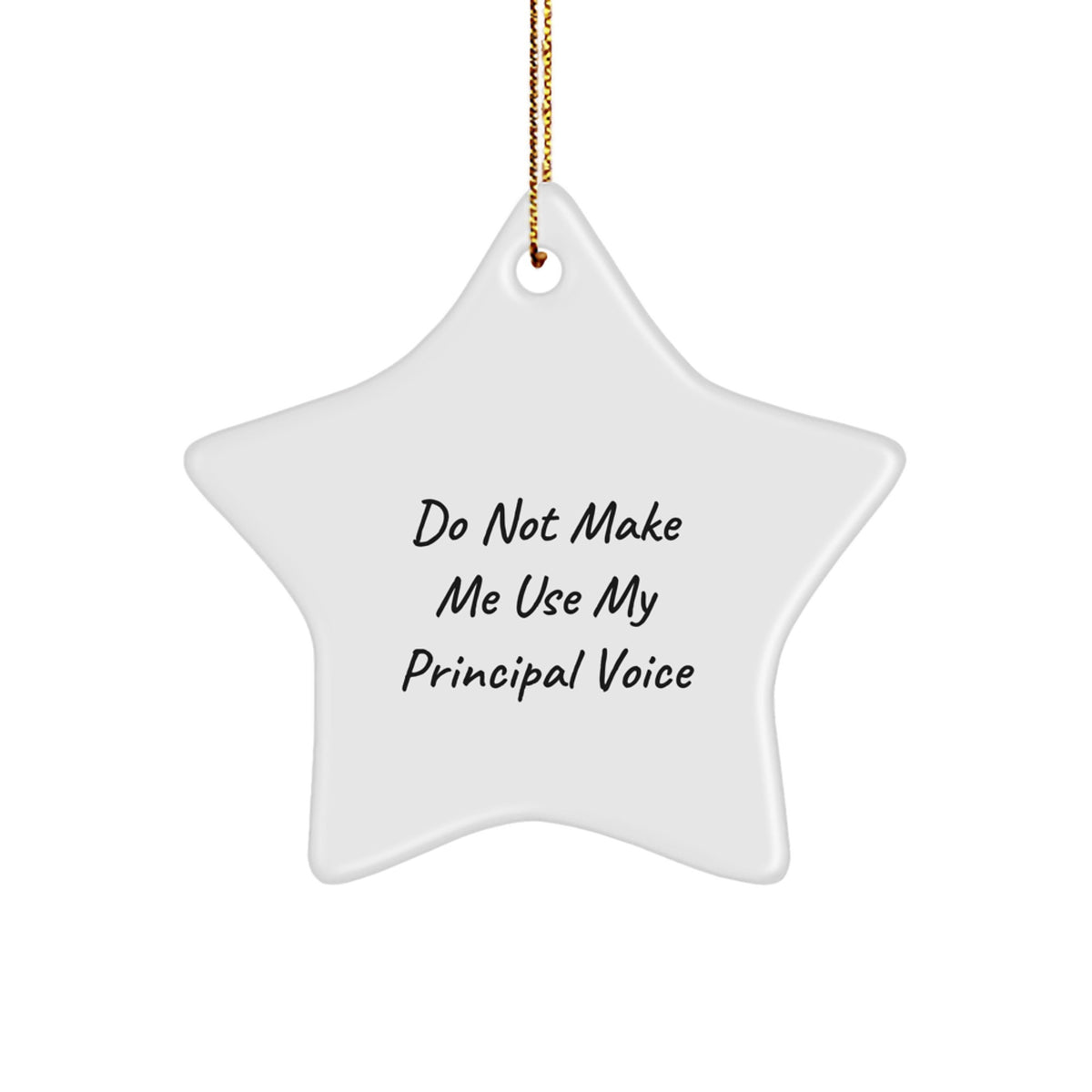 Principal Favorite Star Ornament for Kids Christmas Gift - Image 1