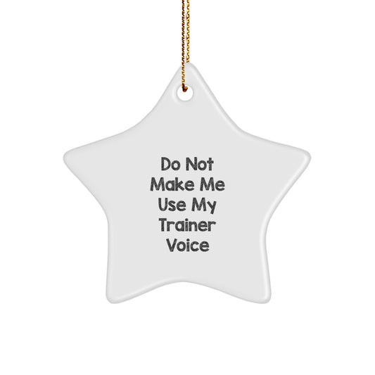 Trainer Keepsake Christmas Ornament for Him Gift Lighthearted - Image 1
