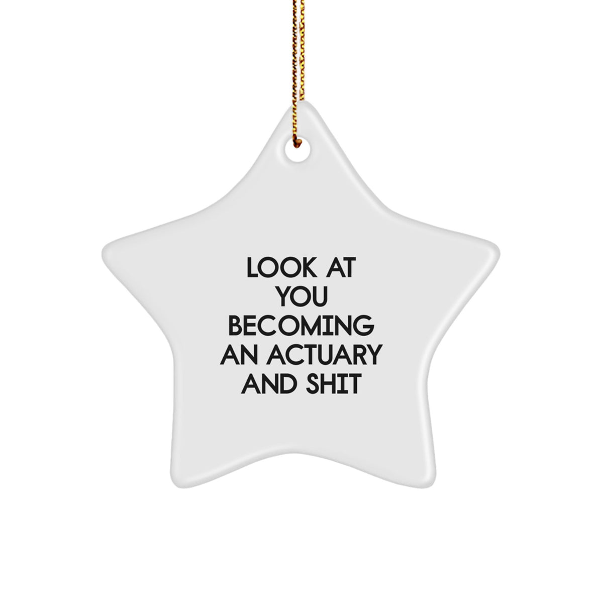 Christmas Gift for Teens Surprise Actuary Star Ornament - Image 1