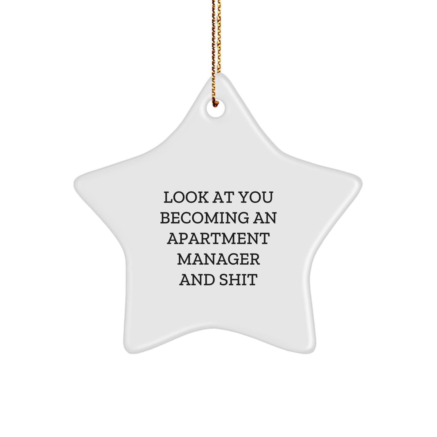 Funny Gifts for Apartment Manager Christmas Star Ornament, Gifts from Men to Apartment Manager, Look At You Becoming An Apartment Manager And Shit - Image 1