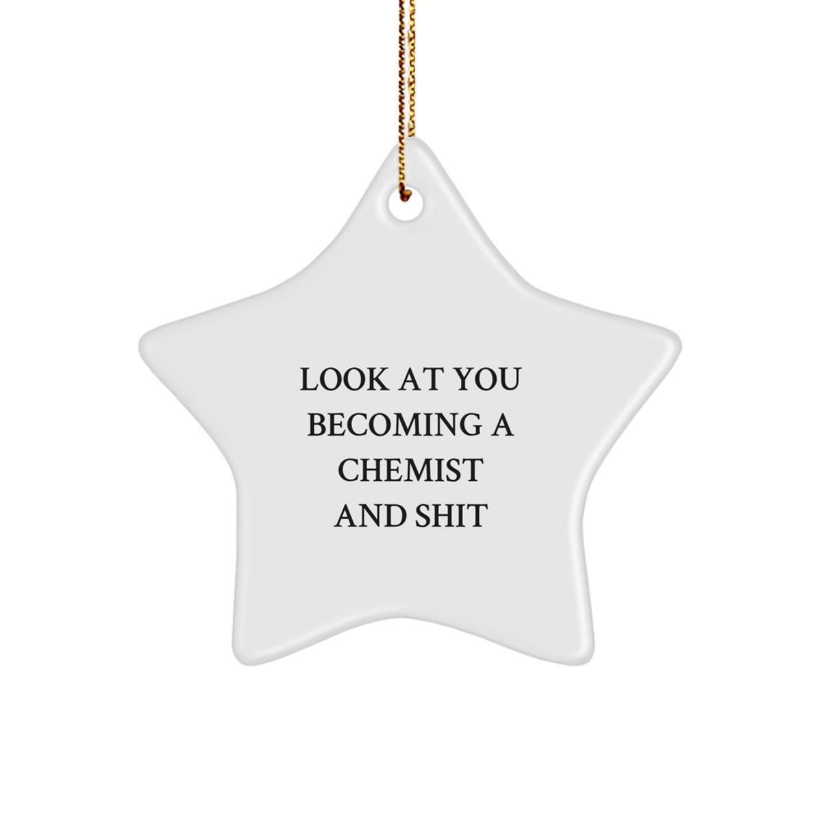 Christmas Gift for Her Look At You Becoming A Chemist And Shit Ornament - Image 1