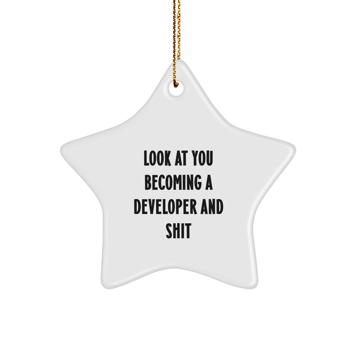 Sassy Developer Star Ornament Christmas Gift for Friends - Image 1