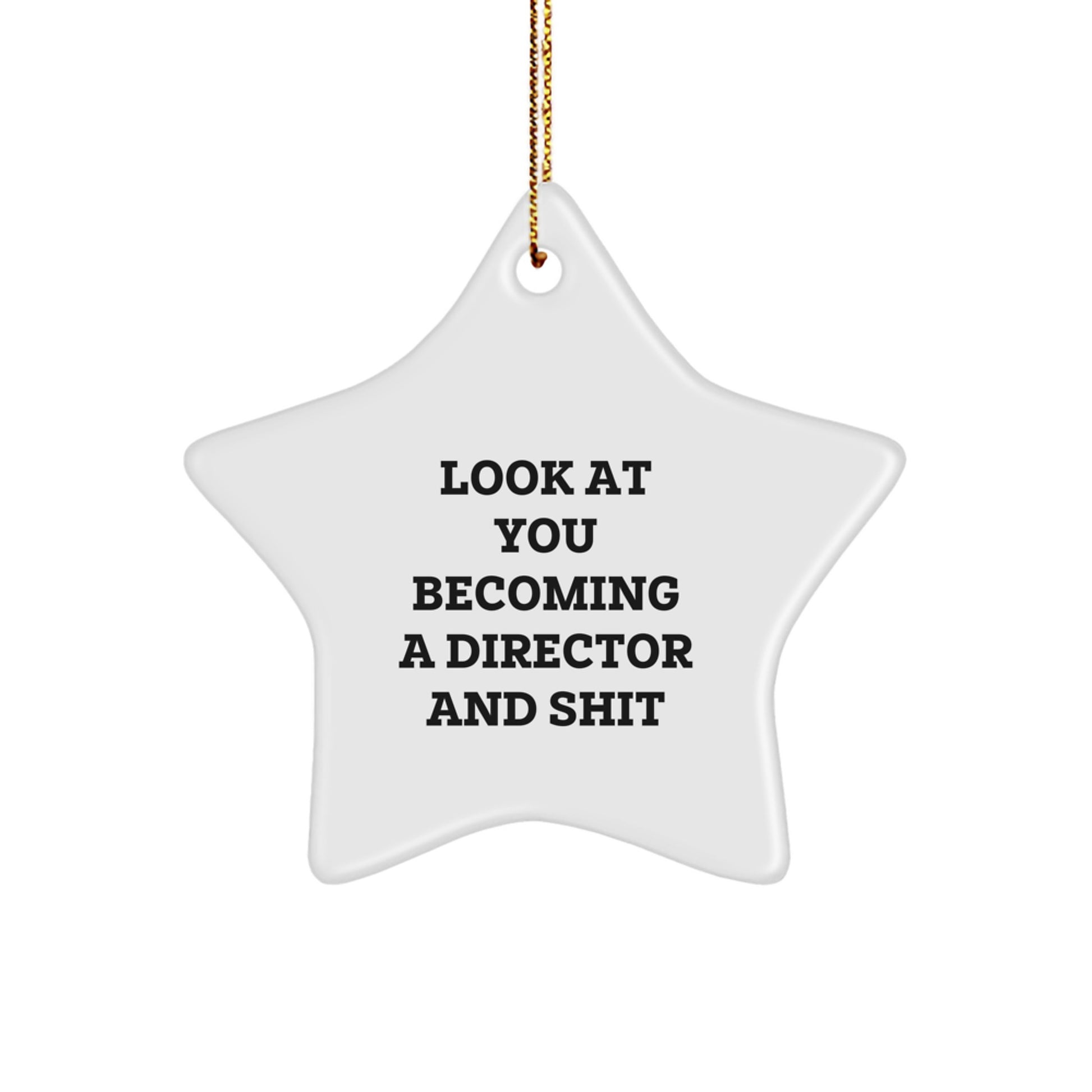 Funny Director Star Ornament Gifts from Friends and Family for Him with Look At You Becoming A Director And Shit Christmas Unique Decorations - Image 1