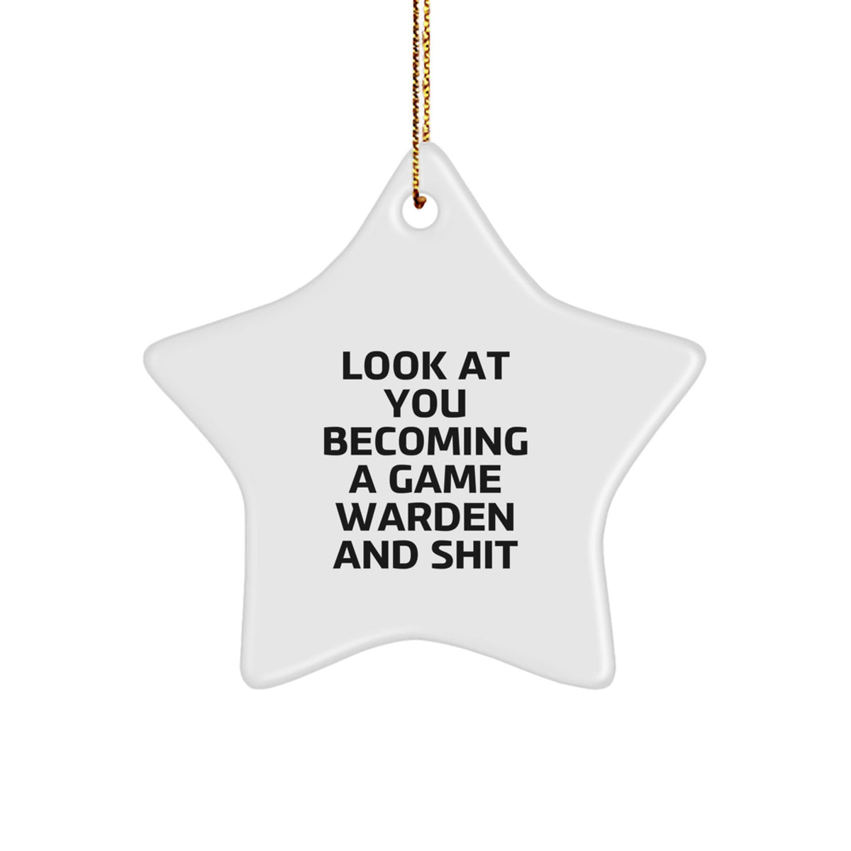 Game Warden Star Ornament Idea for Coworkers Christmas Gift - Image 1