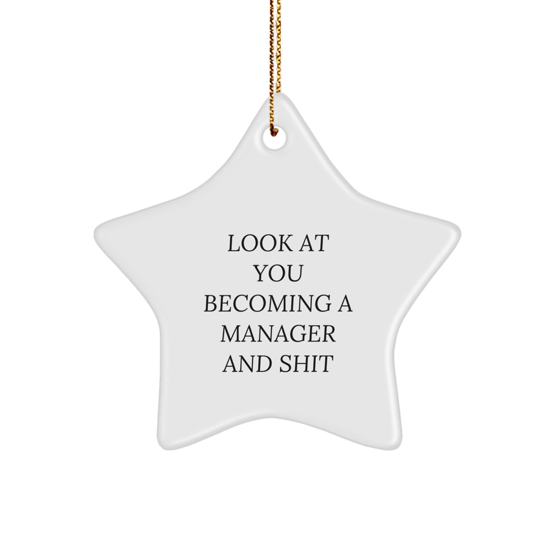 Funny Manager Star Ornament Gifts from Friends, for Men, Christmas Unique Gifts to Look At You Becoming A Manager And Shit - Image 1