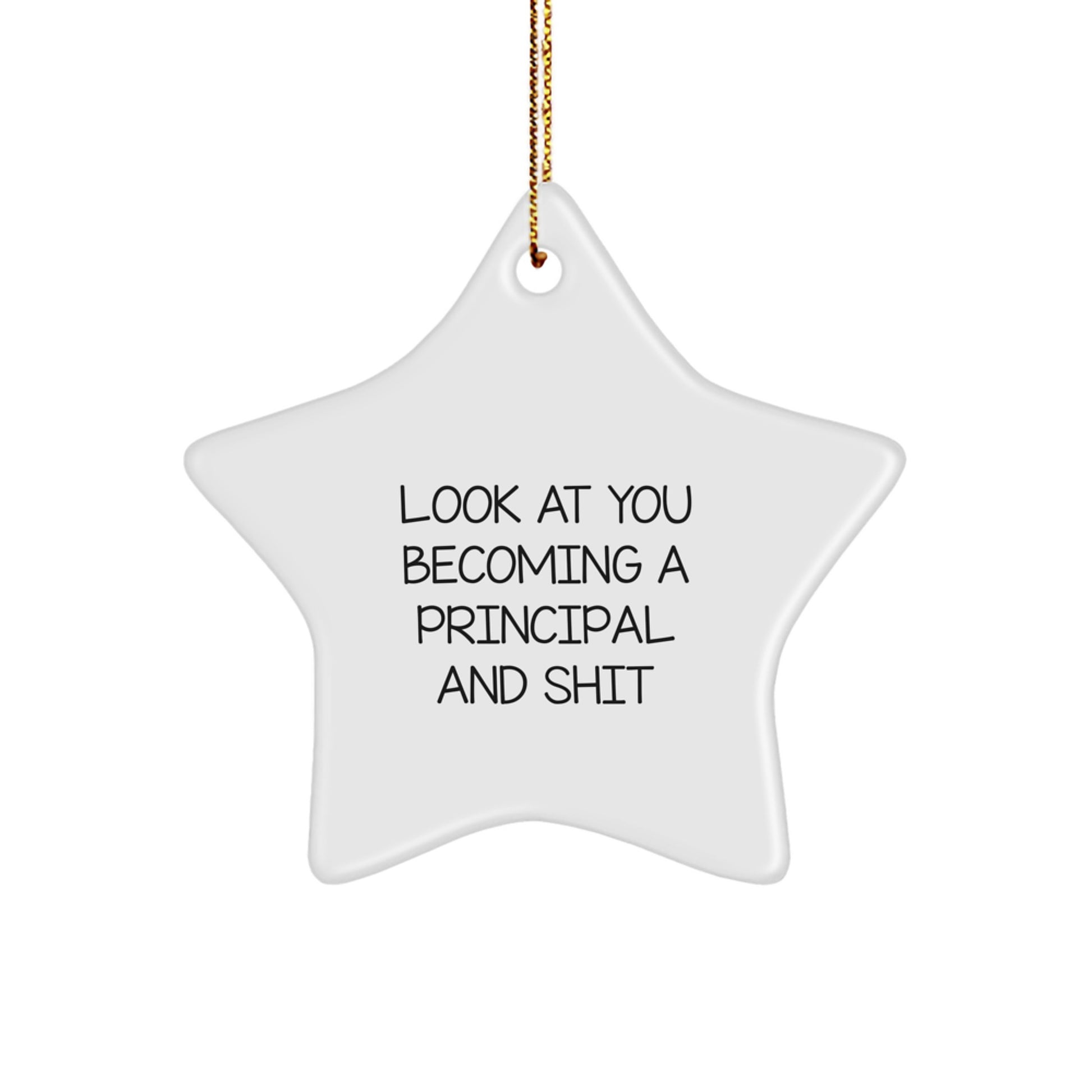Funny Principal Gifts for Men - Star Ornament Look At You Becoming A Principal And Shit Christmas Unique Gifts from Friends - Image 1