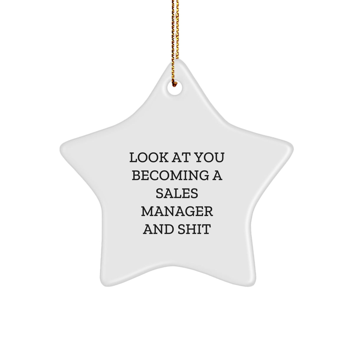Christmas Ornament Gift Hilarious Sales Manager Keepsake - Look At You - Image 1