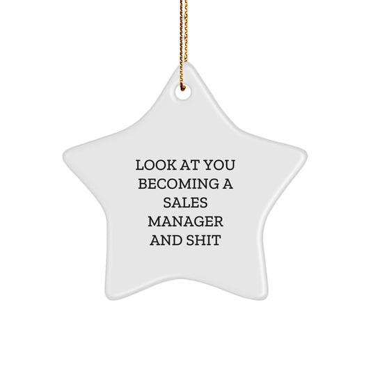 Christmas Ornament Gift Hilarious Sales Manager Keepsake - Look At You - Image 1