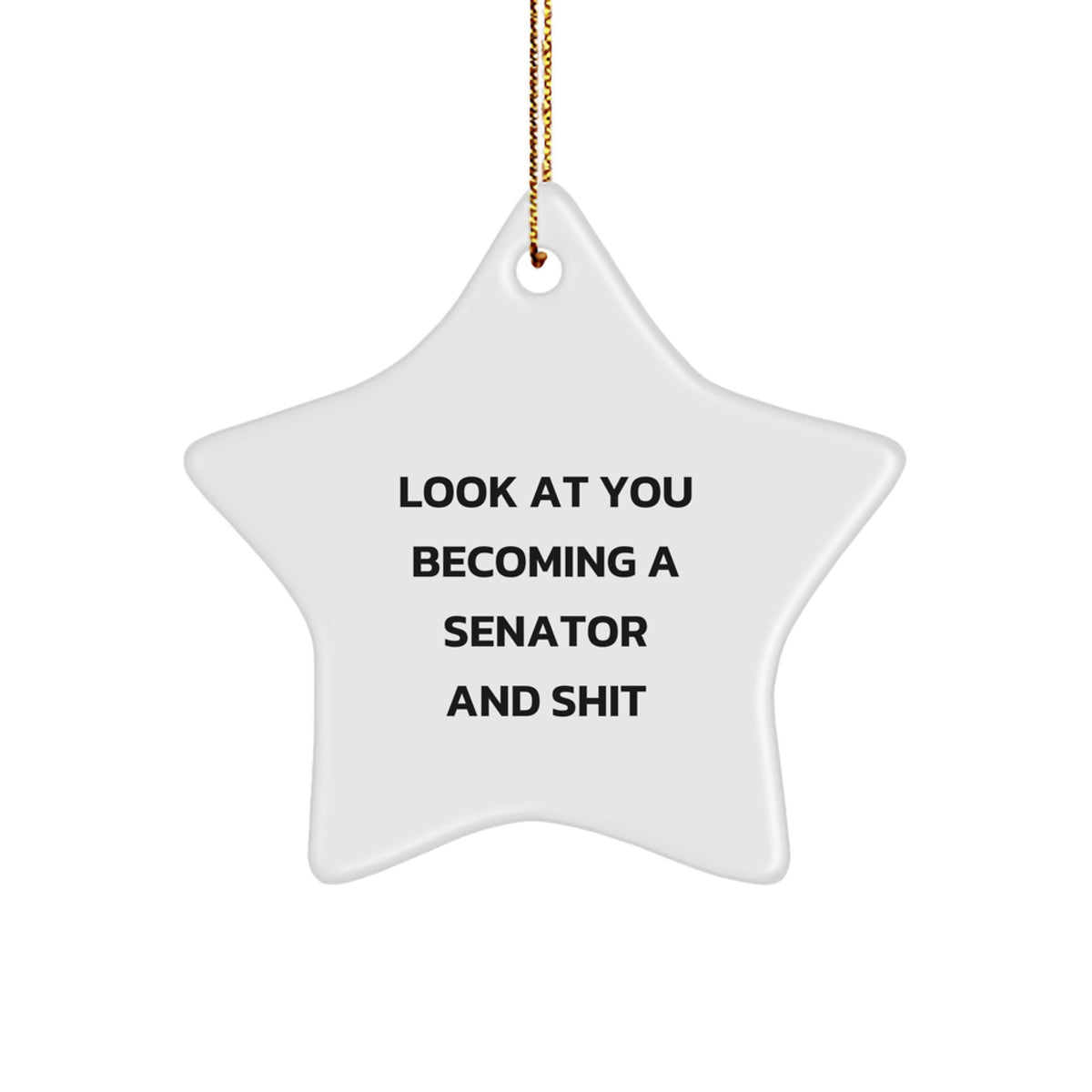 Sassy Senator Star Ornament Novelty for Friends Christmas Gift - Image 1