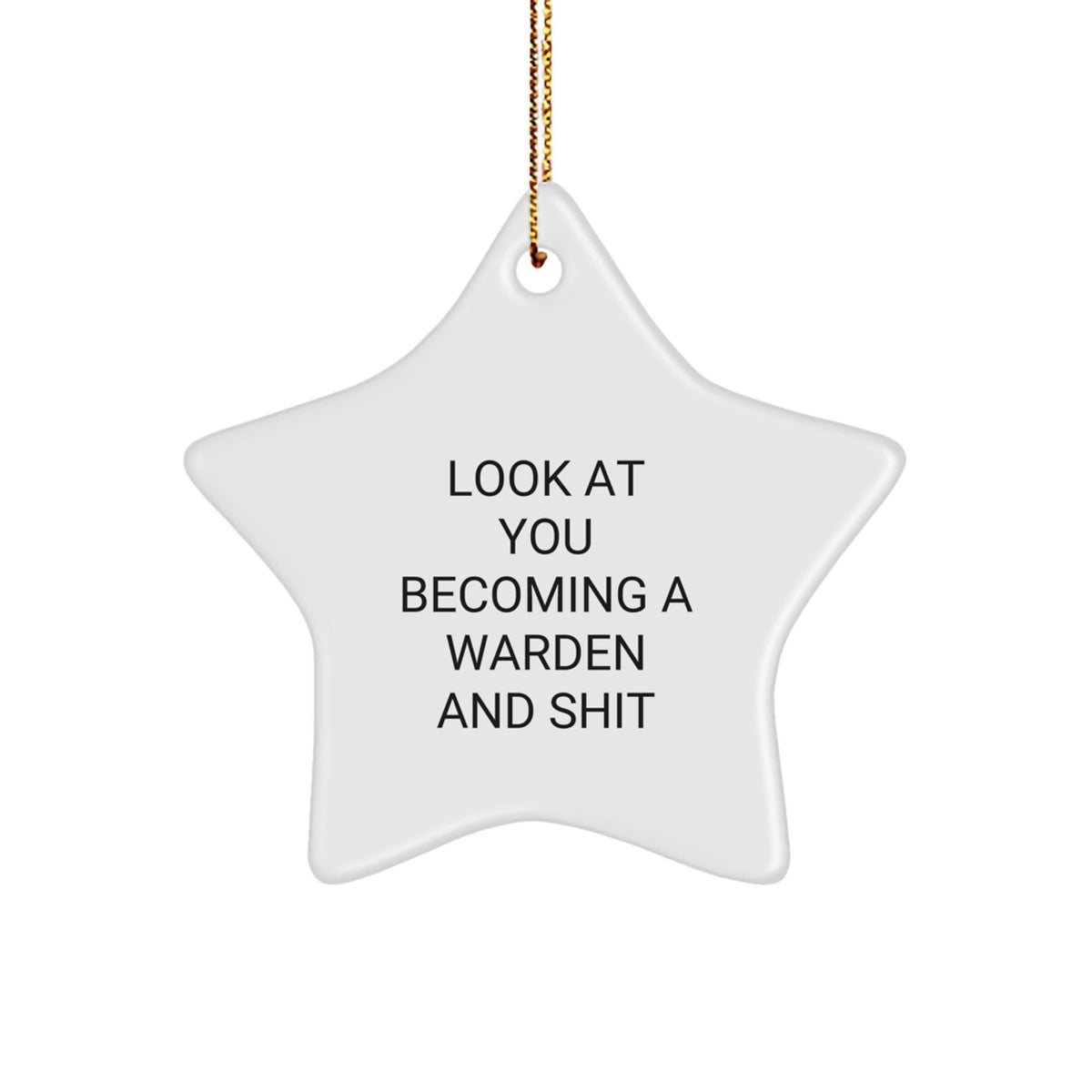 Sarcastic Warden Christmas Ornament Gift for Friends - Look At You And - Image 1
