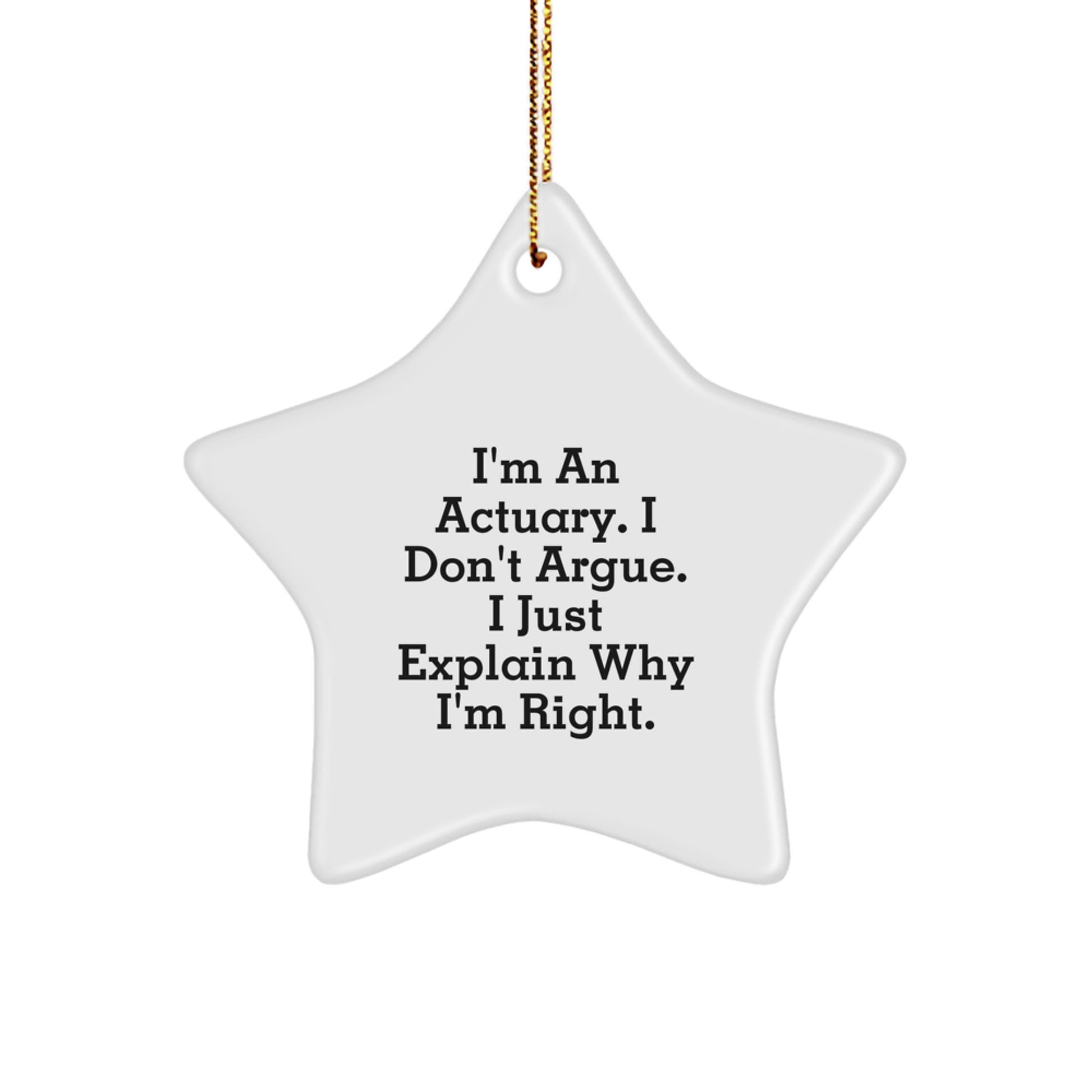 Funny Actuary Gifts, I'm An Actuary I Don't Argue Star Ornament for Actuary, Christmas Unique Gifts from Family to Actuary Men - Image 1