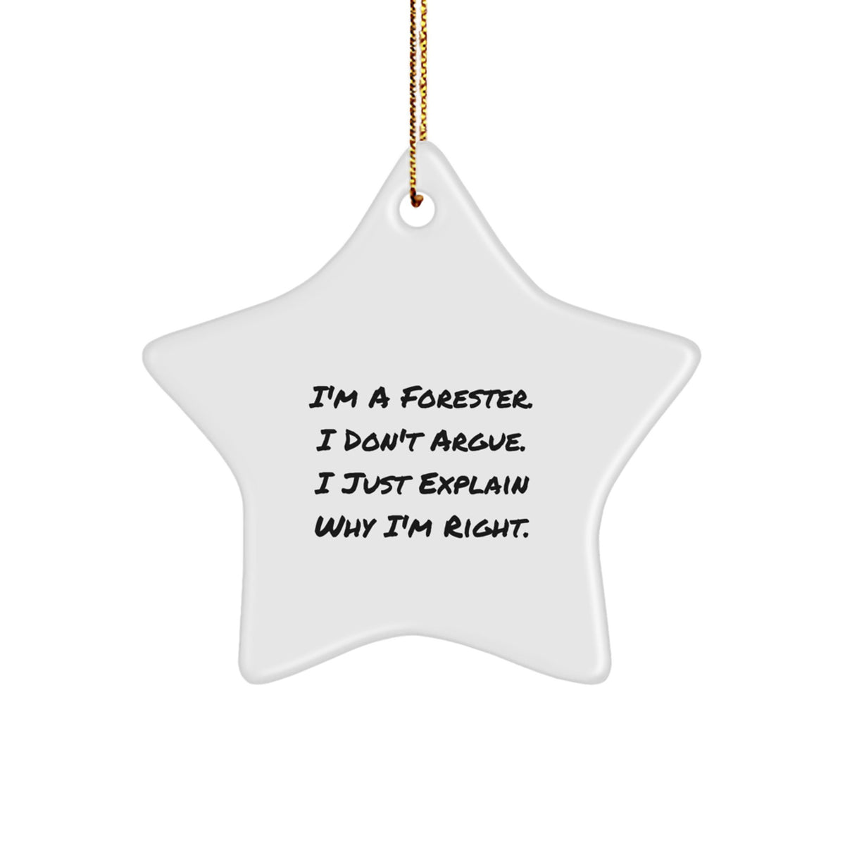 Christmas Gift Forester Star Ornament - I Don't Argue, I Explain Present - Image 1