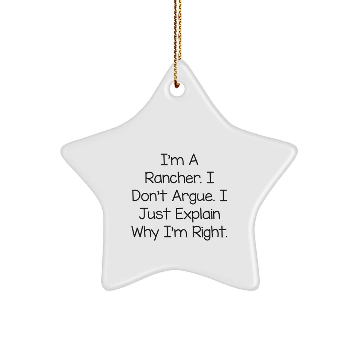 Christmas Gift Rancher Star Ornament for Family - Treasure, I'm Right - Image 1