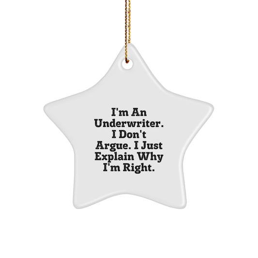 Funny Underwriter Gifts from Friends for Underwriter, Star Ornament Underwriter, Christmas Unique Gifts for Underwriter, Quote 'I'm An Underwriter. I Don't Argue. I Just Explain Why I'm Right.' - Image 1