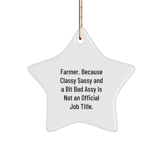 Collectible Farmer Star Ornament for Neighbors Christmas Gift - Image 1