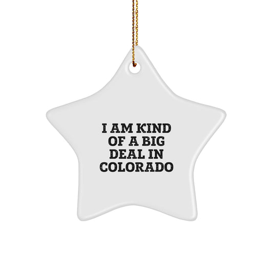 Colorado Star Ornament Funny Quote Gifts for Friends from Colorado - Image 1