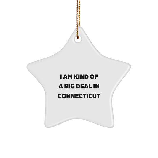 Funny Star Ornament Gifts from Connecticut, Perfect for Connecticut Residents, Christmas Unique Gifts, I'm Kind Of A Prime Selection In Connecticut Star Decoration - Image 1