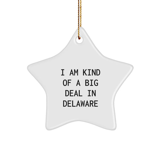 Delaware Christmas Unique Gifts for Men Star Ornament Funny Quote I Am Kind Of A Prime Selection In Delaware Sent by Friends - Image 1