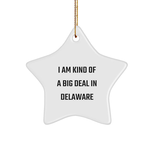 Funny Delaware Christmas Unique Gifts from Friends for Men with I Am Kind Of A Prime Selection In Delaware Star Ornament - Image 1