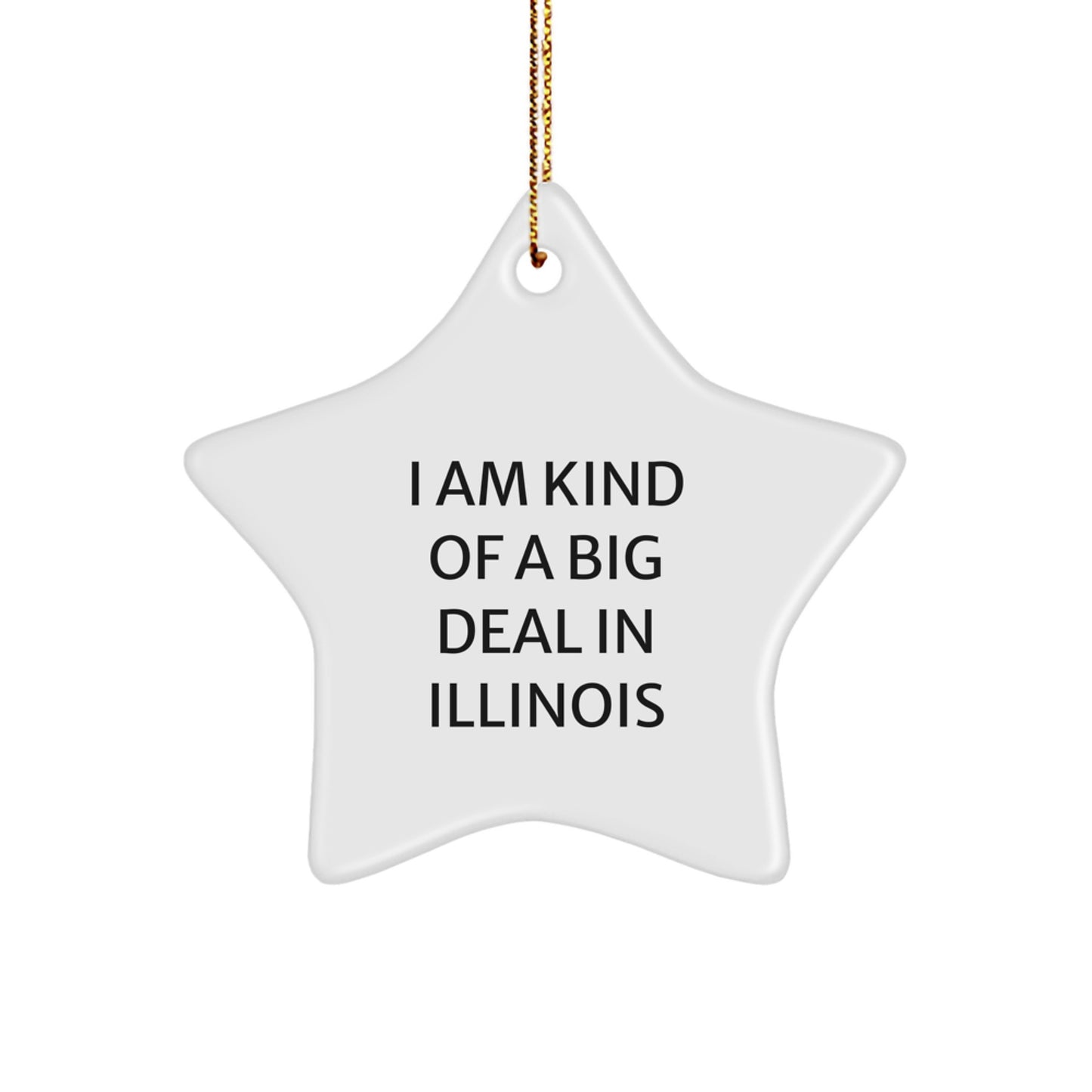 Funny Star Ornament for Illinois Gifts from Men to Friends, A Prime Selection in Illinois Christmas Unique - Image 1