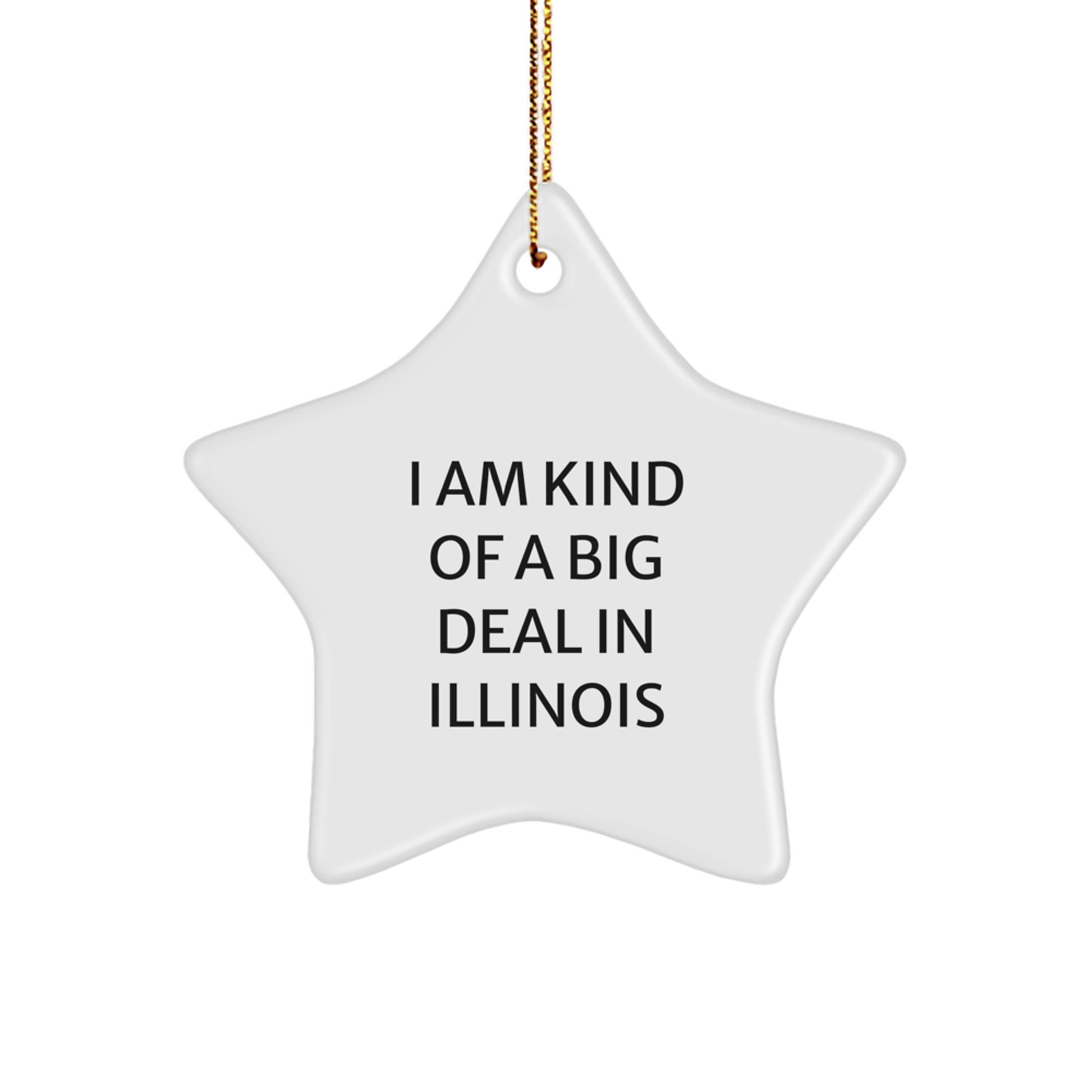 Funny Star Ornament for Illinois Gifts from Men to Friends, A Prime Selection in Illinois Christmas Unique - Image 1