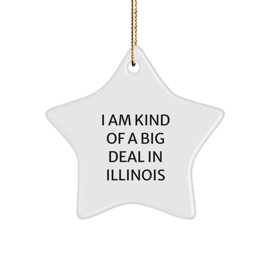 Funny Star Ornament for Illinois Gifts from Men to Friends, A Prime Selection in Illinois Christmas Unique - Image 1