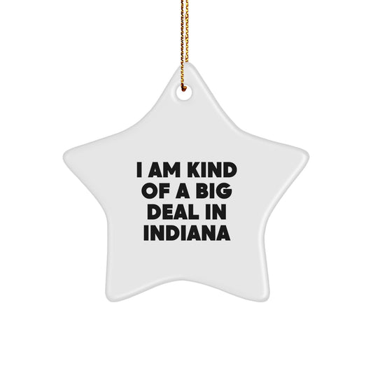 Funny Gifts from Friends and Family for Indiana Men - Star Ornament I Am Kind Of A Prime Selection In Indiana - Image 1