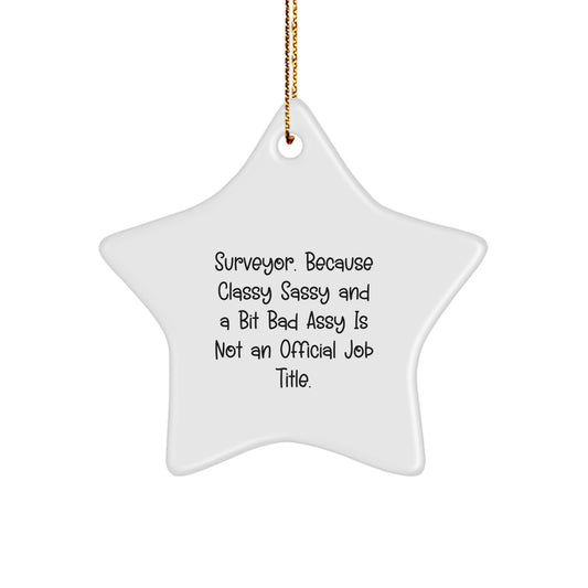 Funny Surveyor Gifts - 'Surveyor. Because Classy Sassy And A Bit Fearlessy Is Not An Official Job Title.' Star Ornament, Perfect for Surveyor Christmas Unique Gifts from Friends - Image 1