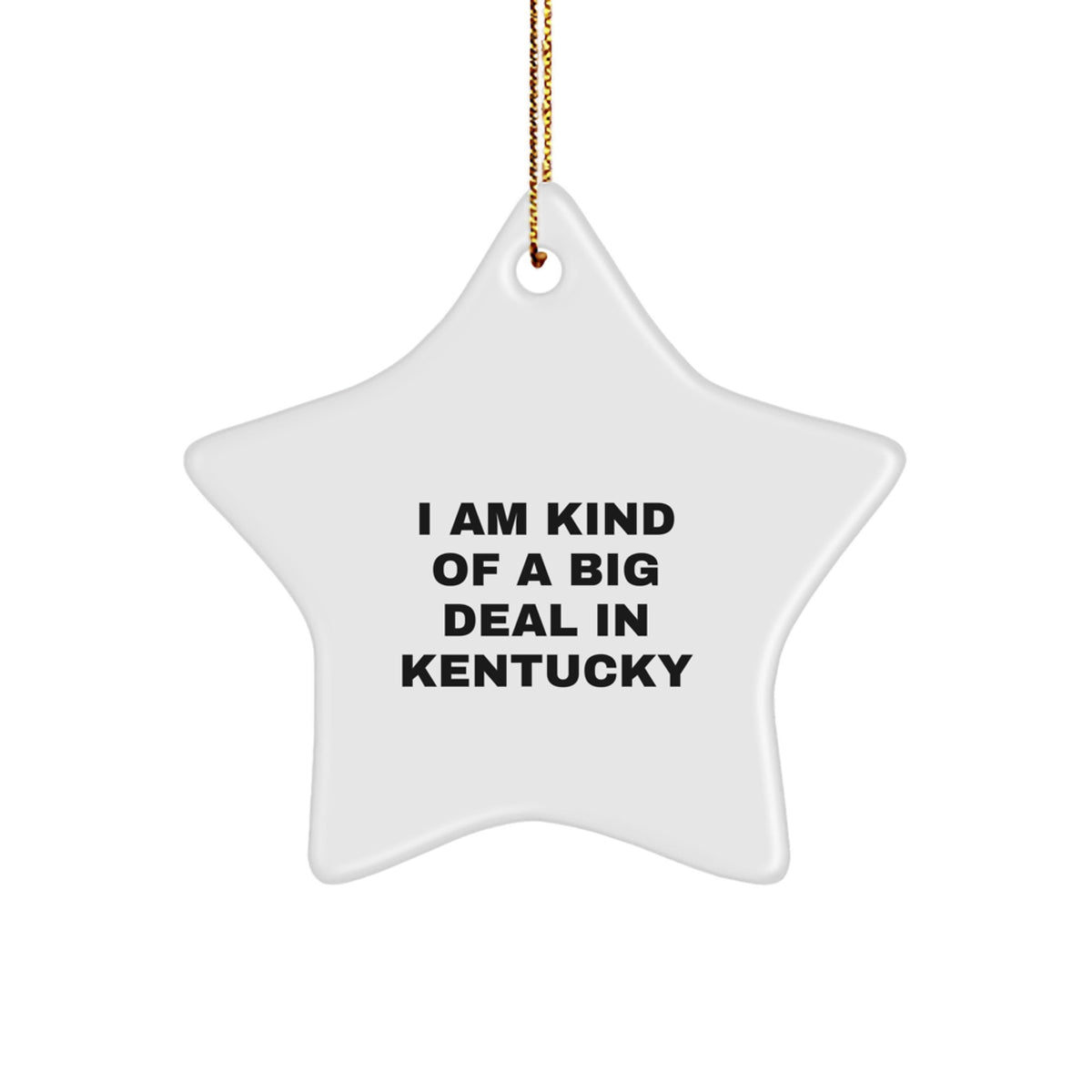 Kentucky Star Ornament I Am Kind Of A Prime Selection Christmas Unique Gift for Men from Kentucky - Image 1
