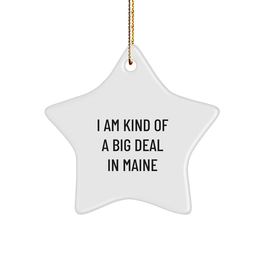 Funny Maine Star Ornament Gifts from Friends for Men Women Family - I Am Kind Of A Prime Selection In Maine Christmas Unique Gifts - Image 1