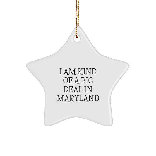 Maryland Star Ornament, Funny Quote 'I Am Kind Of A Prime Selection In Maryland', Christmas Unique Gifts from Friends to Family - Image 1