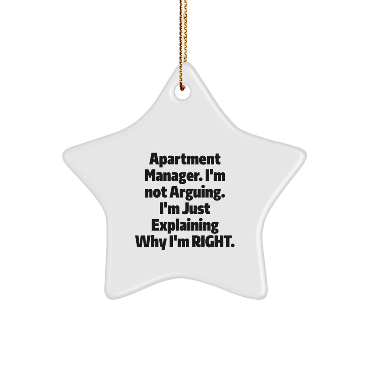 Christmas Gift for Her Apartment Manager Star Ornament Present - Image 1
