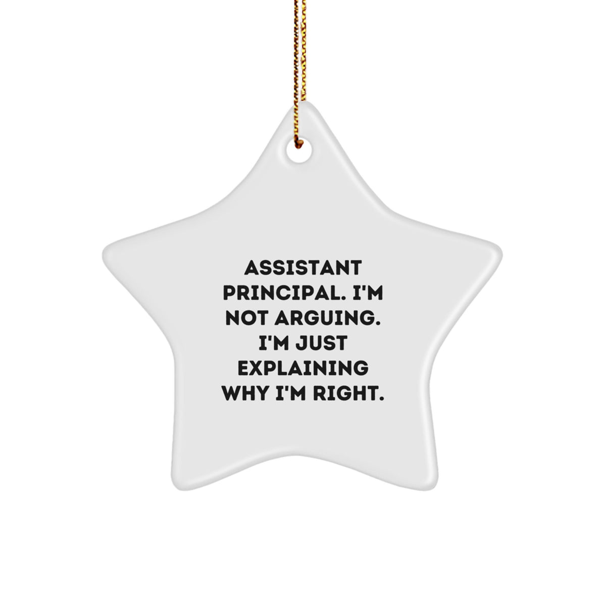 Christmas Gift for Teens Assistant Principal Star Ornament - Explaining - Image 1