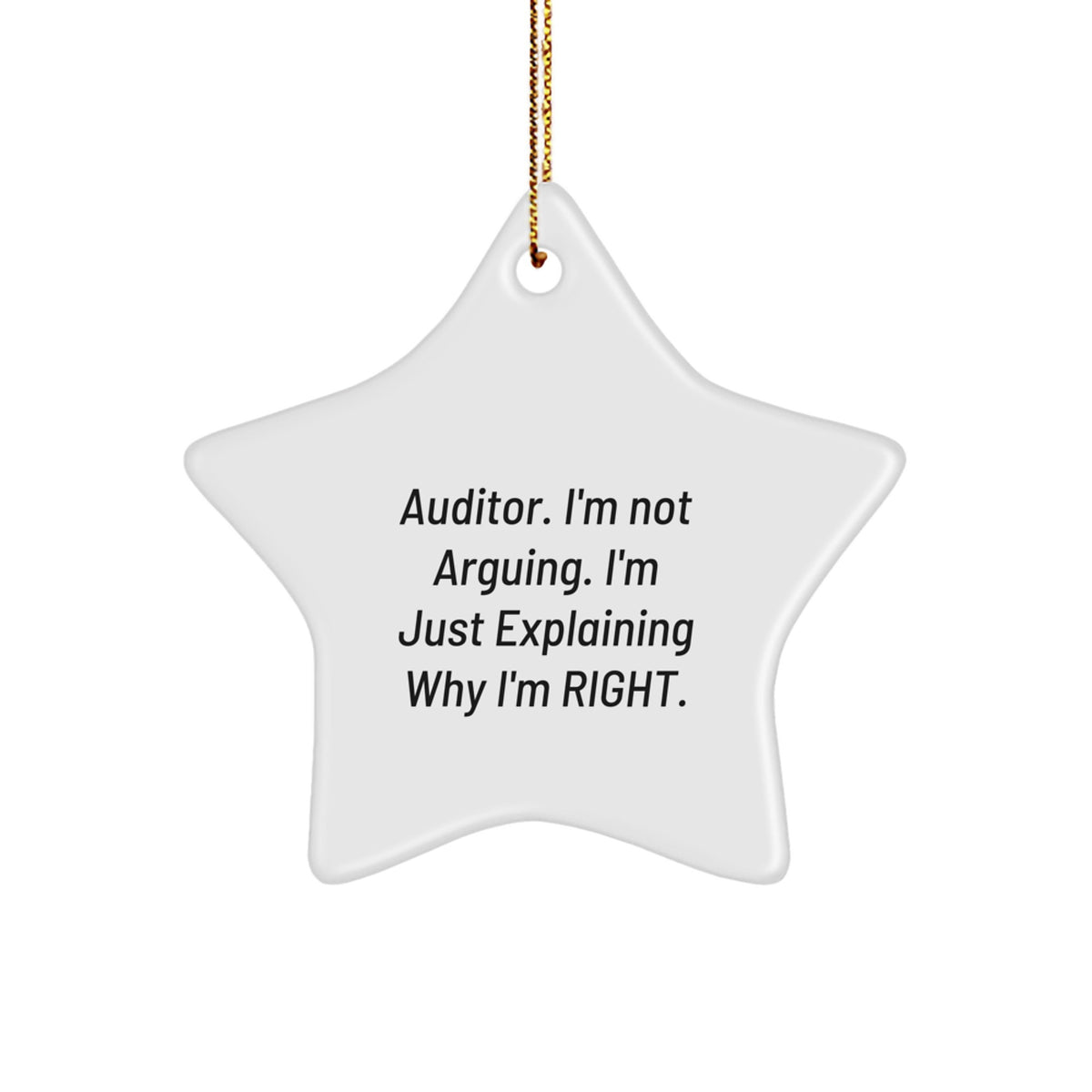 Sassy Auditor Christmas Ornament Gift for Roommates Bright Memento - Image 1