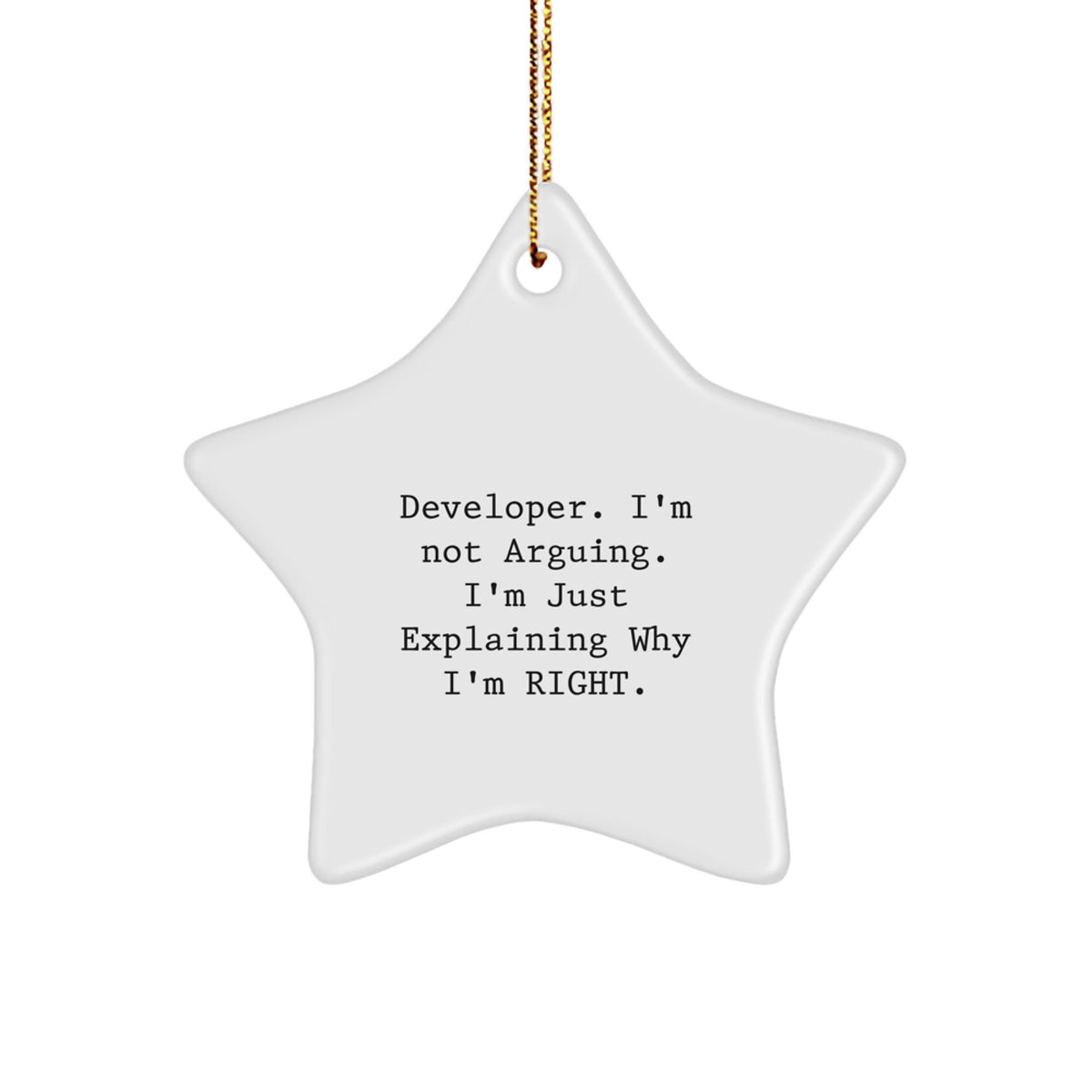 Developer Christmas Ornament Gift for Family - Treasure Explaining Why - Image 1