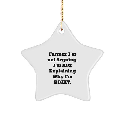 Farmer Humor Gifts from Men to Men, Funny Star Ornament for Christmas, 'I'm Not Arguing... I'm Right' Quote - Image 1