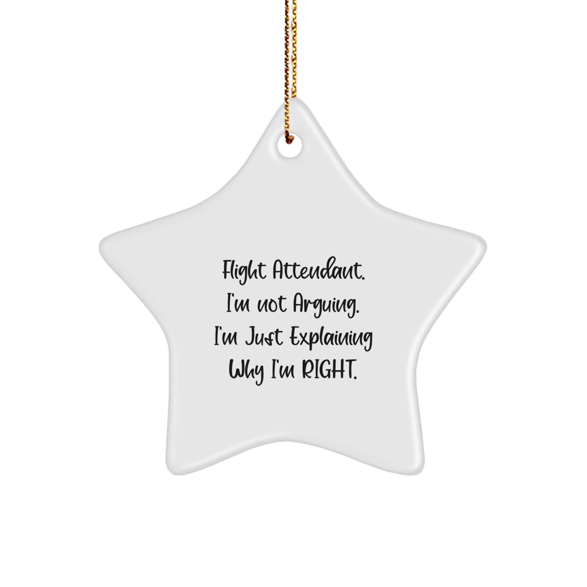 Flight Attendant Star Ornament Funny Gifts from Friends for Men Women Coworkers - 'I'm Not Arguing. I'm Just Explaining Why I'm Right.' Unique Christmas Unique Gifts - Image 1