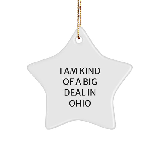 Funny Ohio Gifts from Friends and Family Star Ornament, 'I Am Kind Of A Prime Selection In Ohio' Christmas Decorations - Image 1