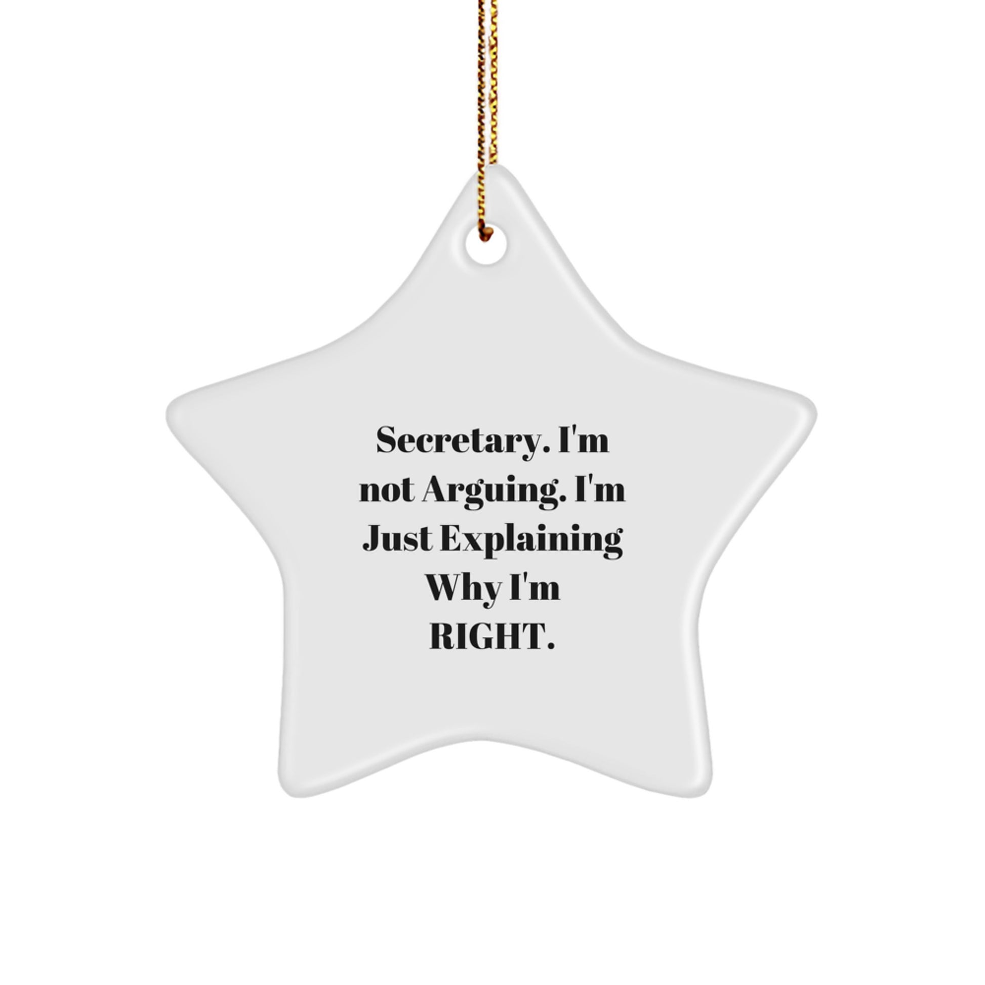 Funny Secretary Gifts Christmas Star Ornament for Secretary's Desk, Gifts from Friends, Funny Quote Star Ornaments for Secretary, Secretary Gifts - Image 1