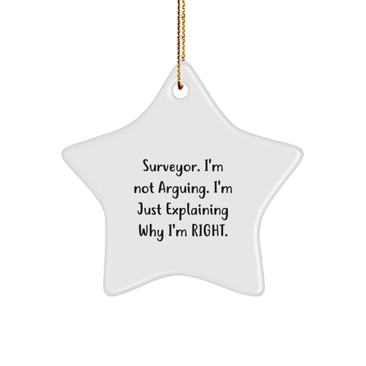 Bold Surveyor Novelty Christmas Ornament for Friends Gift - Image 1