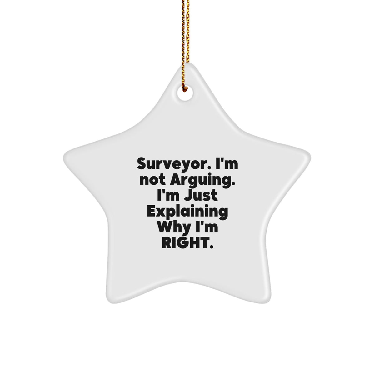 Christmas Gift Surveyor Star Ornament for Her Present Bright Keepsake - Image 1