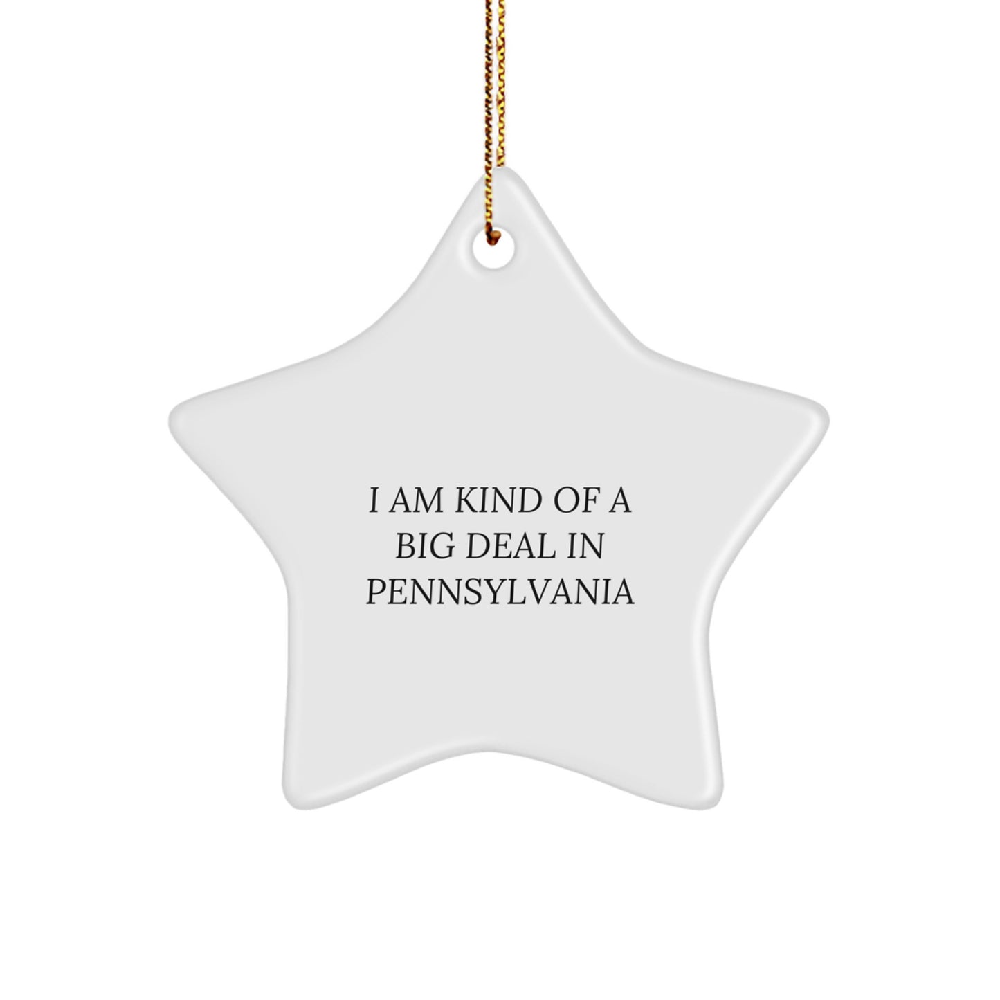 Pennsylvania Star Ornament Gifts from Friends and Family, Funny Quote I Am Kind Of A Prime Selection In PA, Unique Christmas Decor - Image 1