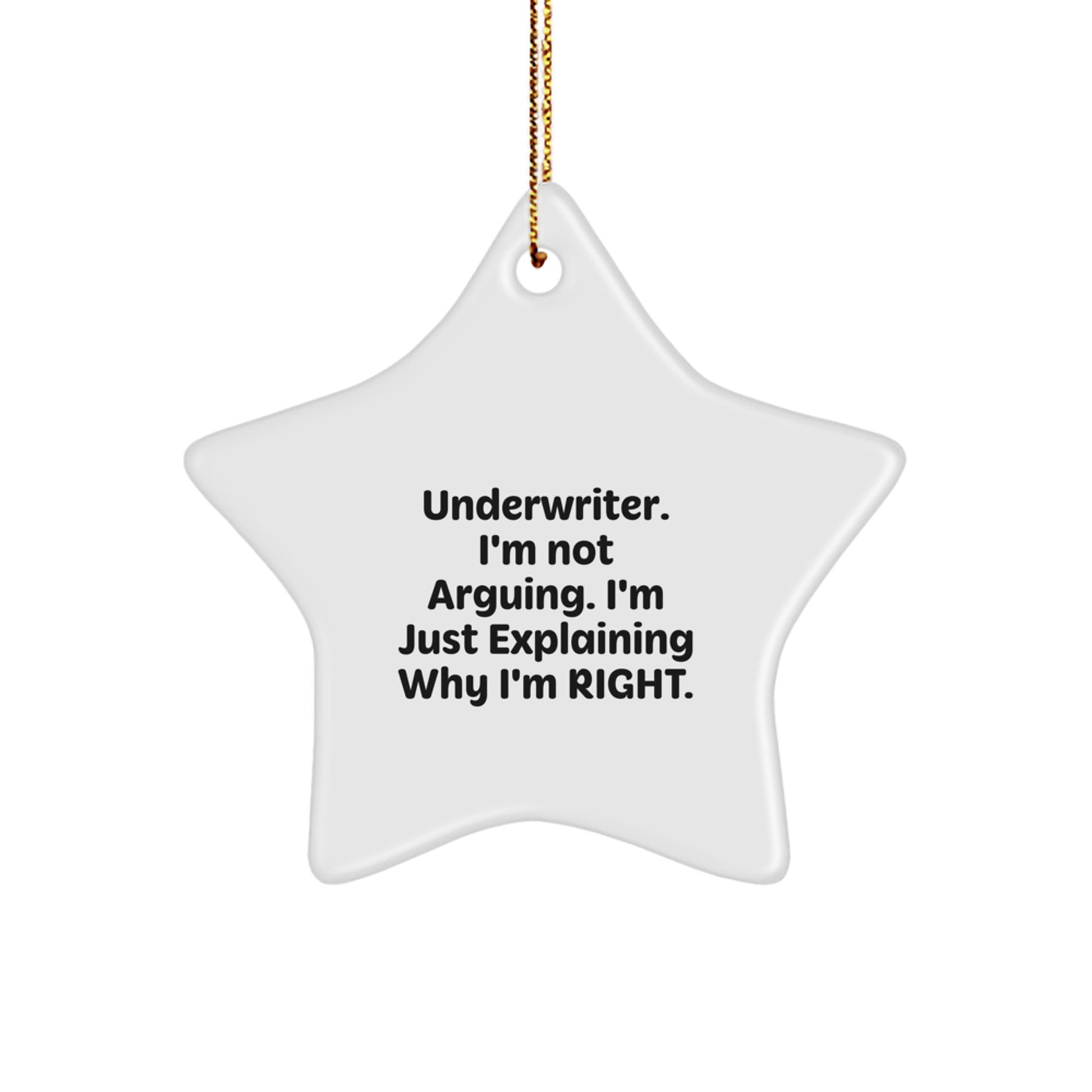 Funny Underwriter Gifts from Women to Men, Christmas Unique Star Ornament, Inspirational Quote - 'I'm Not Arguing. I'm Just Explaining Why I'm Right.' - Image 1