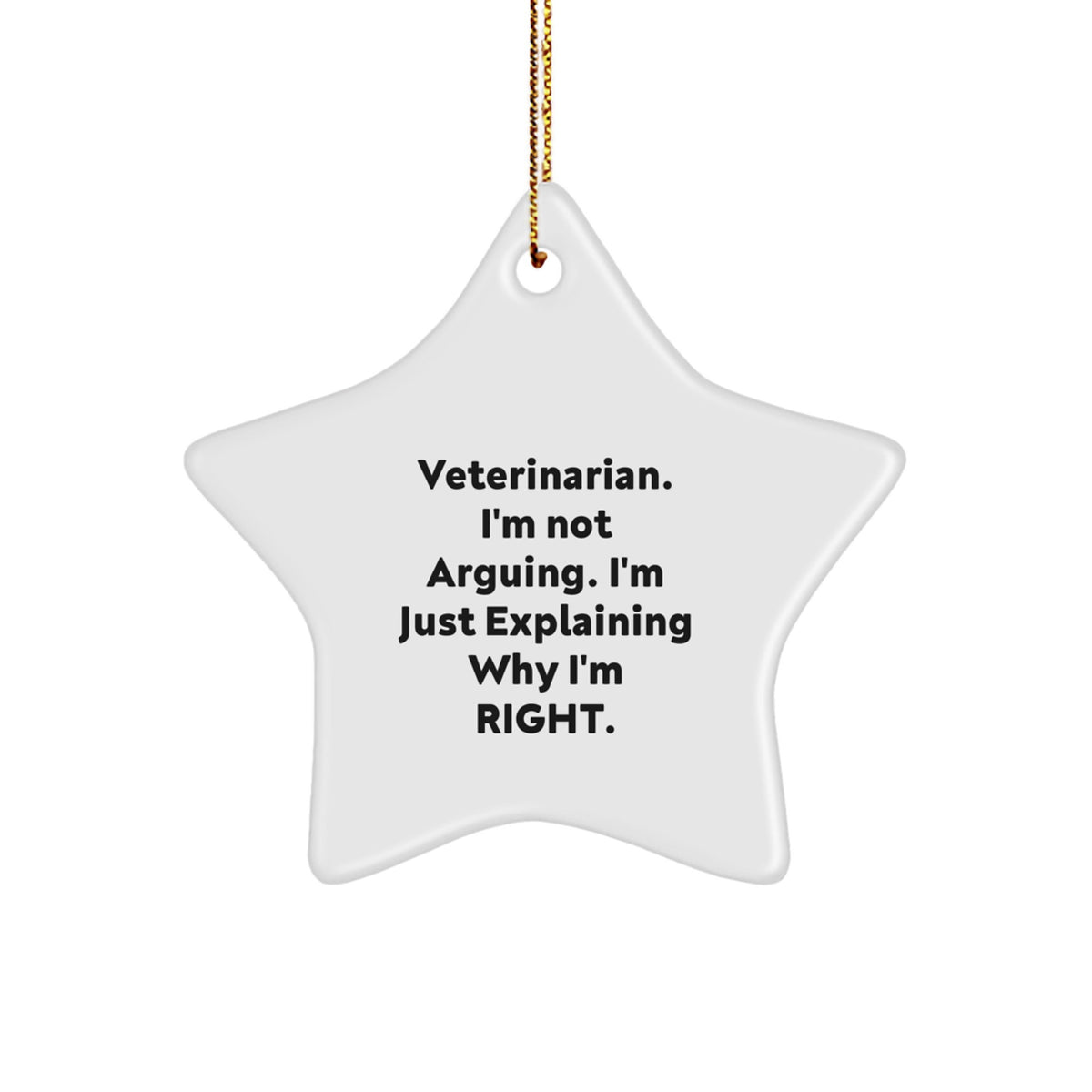 Holiday Christmas Family Treasure Veterinarian Star Ornament Gift - Image 1