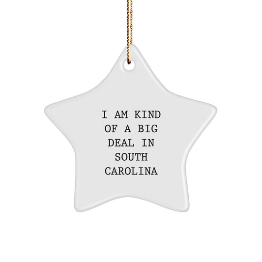 Funny South Carolina Gifts for Men, I Am Kind Of A Prime Selection In South Carolina Star Ornament Christmas Unique Gifts from Friends - Image 1
