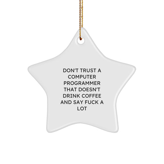Funny Computer Programmer Star Ornament Gifts from Friends for Men - Inspirational Quote for Code Lovers - White Star Shaped Decorations for Christmas - Image 1