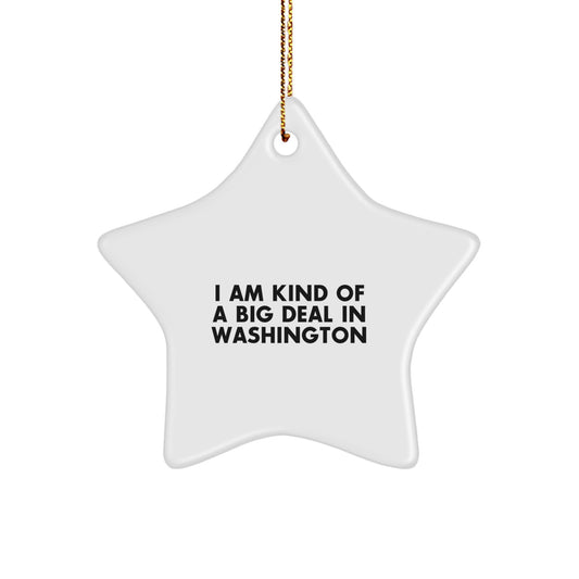 Funny Washington Star Ornament, Washington DC Christmas Unique Gifts from Friends and Family, I'm Kind Of A Prime Selection In Washington Star Shaped Decorations - Image 1