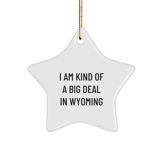 Funny Wyoming Gifts for Men - I Am Kind Of A Prime Selection In Wyoming Star Ornament, Perfect for Christmas, Gifts from Friends or Family - Image 1