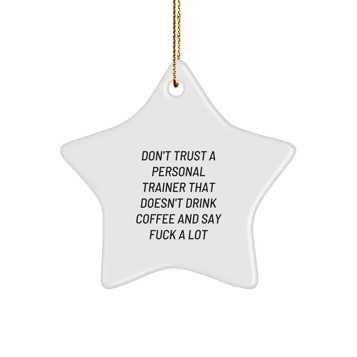 Christmas Gift for Family Sarcastic Personal Trainer Star Ornament - Image 1