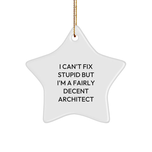Funny Architect Star Ornament Gifts for Architects, Unique Christmas Decorations, I Can't Fix Stupid But I'm A Fairly Decent Architect Men Women Friends Coworkers Family Unique Gift - Image 1
